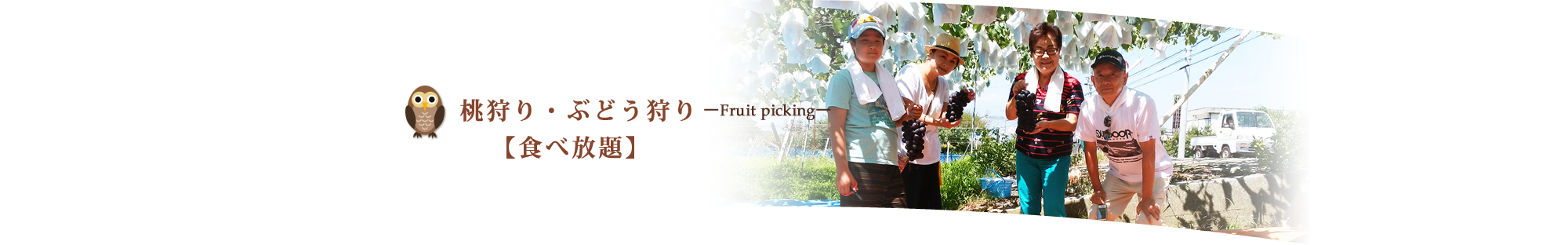 山梨のぶどうと桃、食べ放題　清香園｜清香園の想いと桃の種類、ぶどうの種類と収穫時期